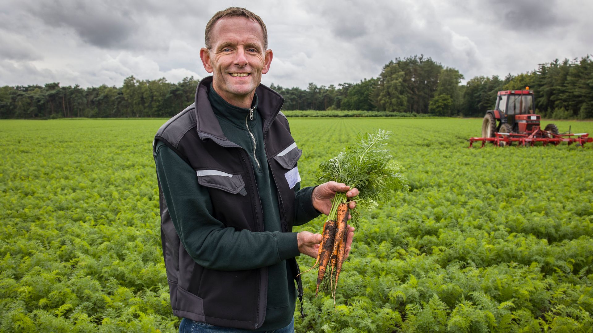 Verse waspenen van Het Wortel Collectief.