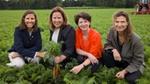 Emilie Haspeslagh (Ardo), Debora van der Zee-Denekamp (Unilever), Fanny Weinbreck (Agrifirm) en Daniek Ehrismann (Jumbo) op het wortelveld